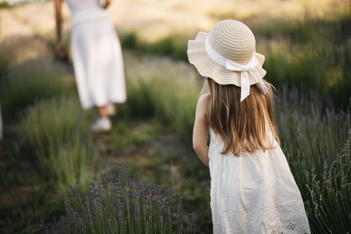 campo de lavanda com sol