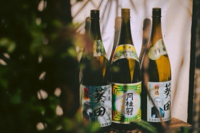 北海道旅行のベストシーズンは？冬と夏の魅力徹底比較完全ガイド