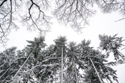Hokkaido Winter Driving: Survival Guide for First-Timers