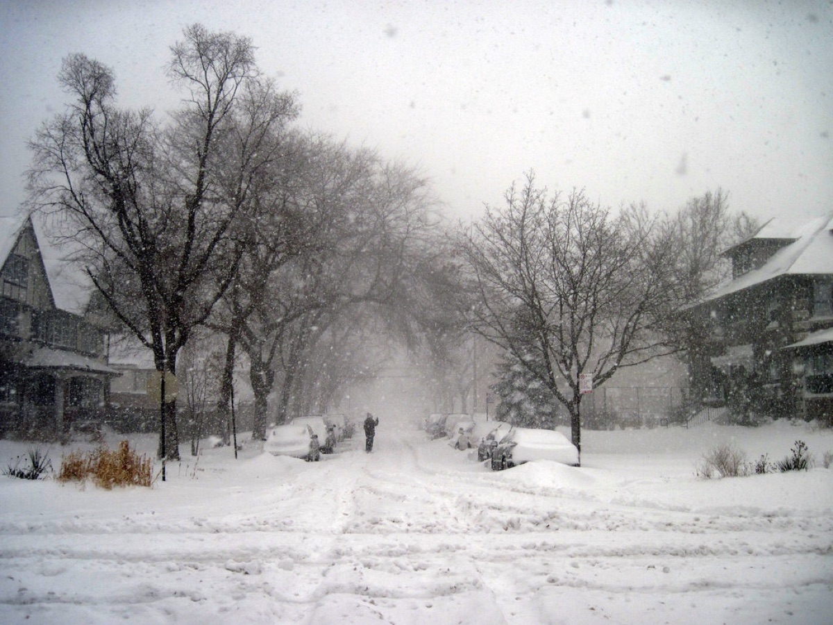 雪交岔路 生存指南