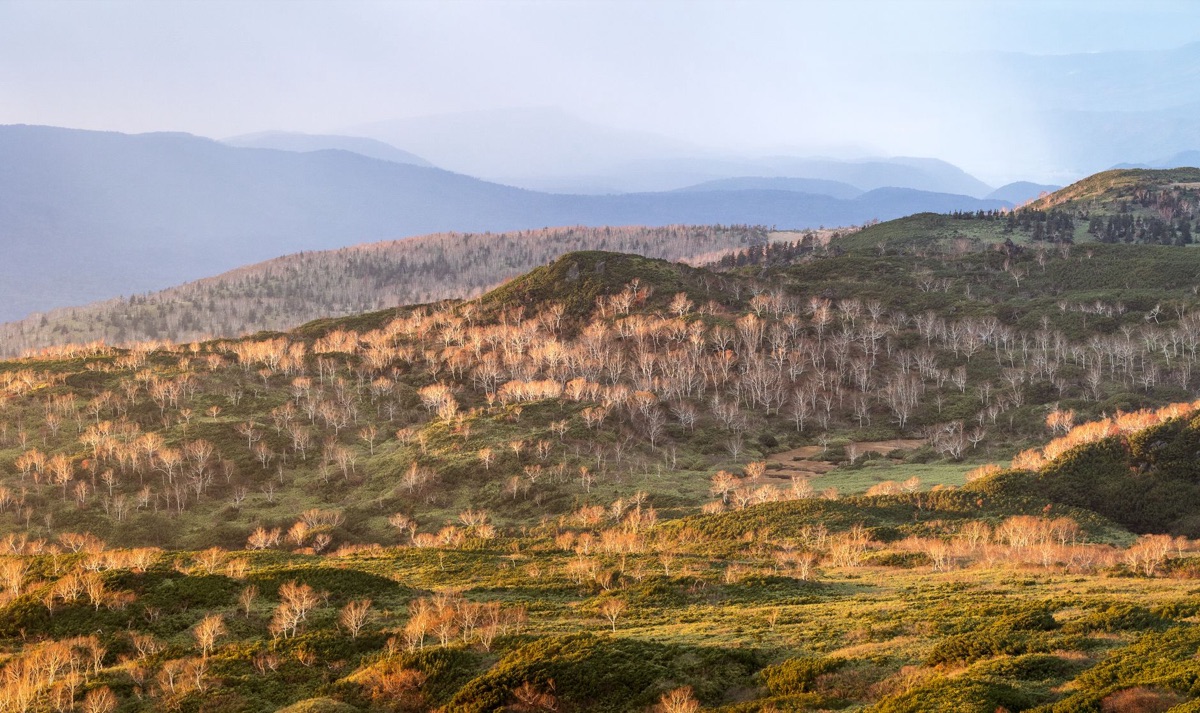北海道の山間の朝の風景