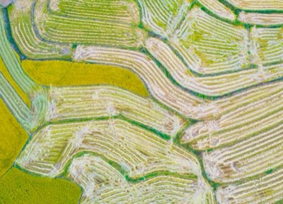 Hokkaido keuken: 8 regio's, 8 smaakbelevingen van de natuur