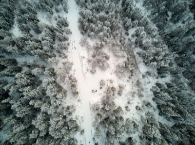 Hokkaido Snow Festival: Top Tips for a Memorable Trip