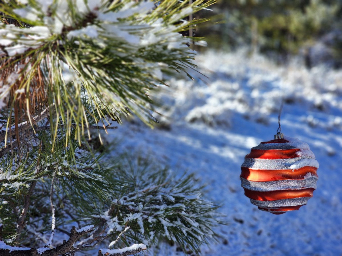 Des décoration enneigées pour une célébration de la neige