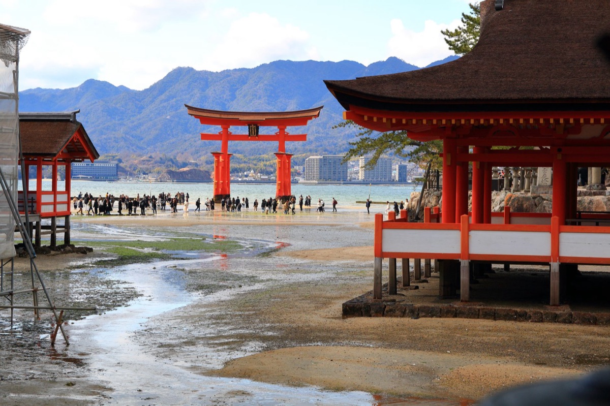 shrine combs snow-covered with visitors