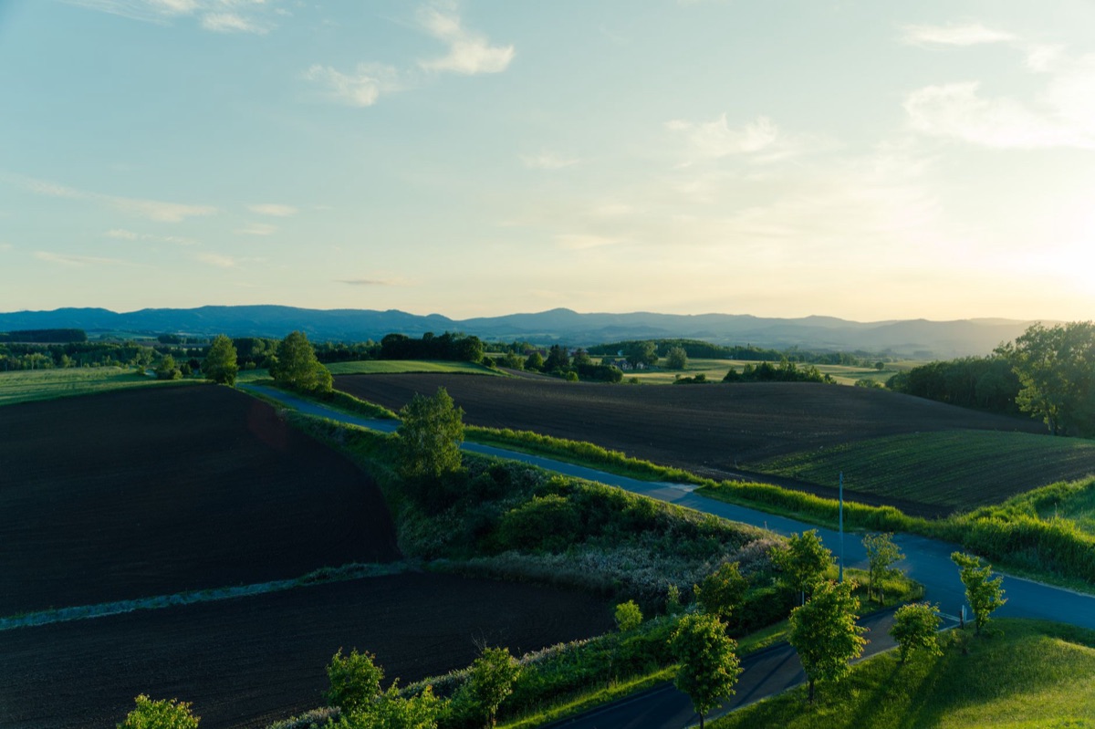 sendero de flores en hokkaido