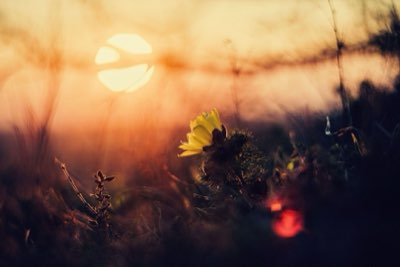 Biei Furano : 7 conseils pour des clichés parfaits en juillet