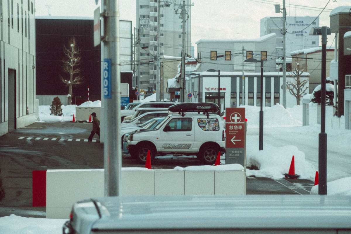 北海道の車が走る花畑