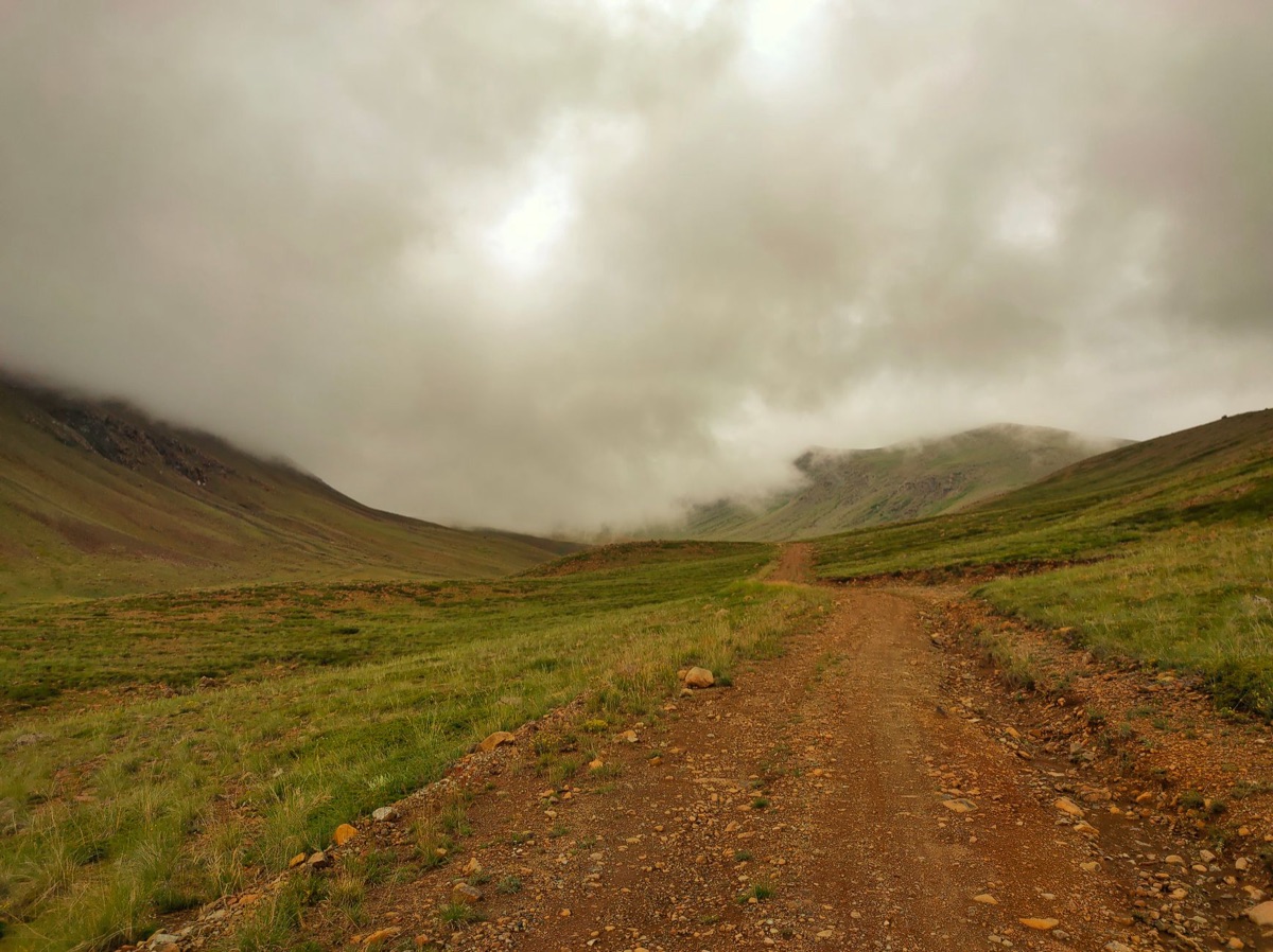 estrada de terra que se enlaça com flores
