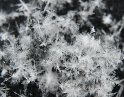 Mastering Hokkaido Winters: Gear Up for Deep Snow Adventures