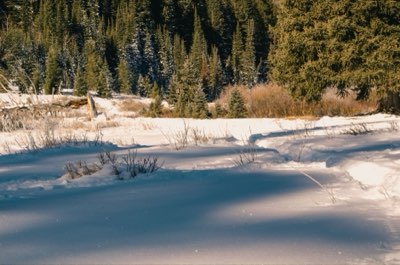 北海道冬旅の成功鍵は準備で！時期別チェックリストを徹底確認