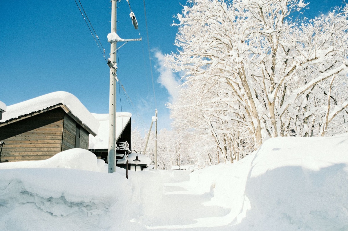 北海道の雪景色を背景にしたスキー用品
