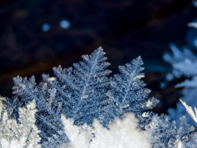 Sneeuwrijk Japan: Veilige Reis met Openbaar Vervoer of Auto?