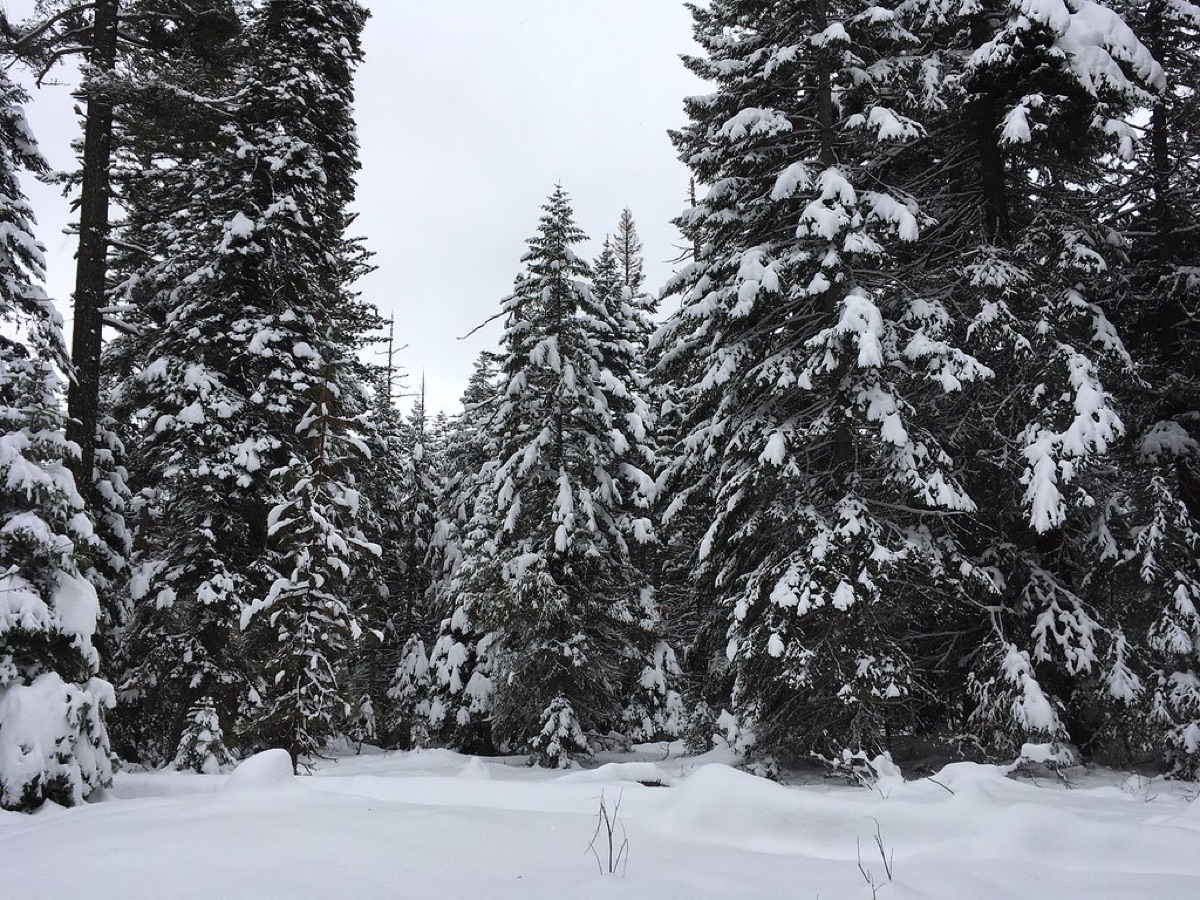 sneeuwbergpad met sneeuwschoenen