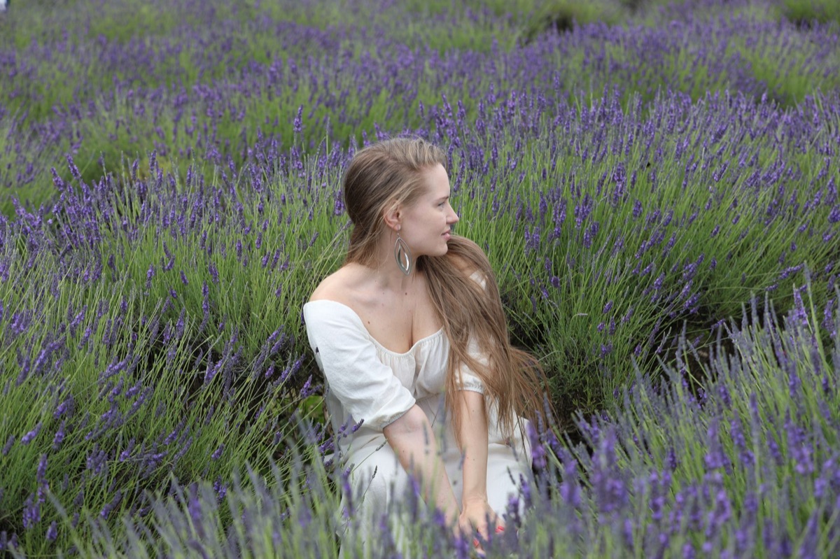 Lavender field with onsen