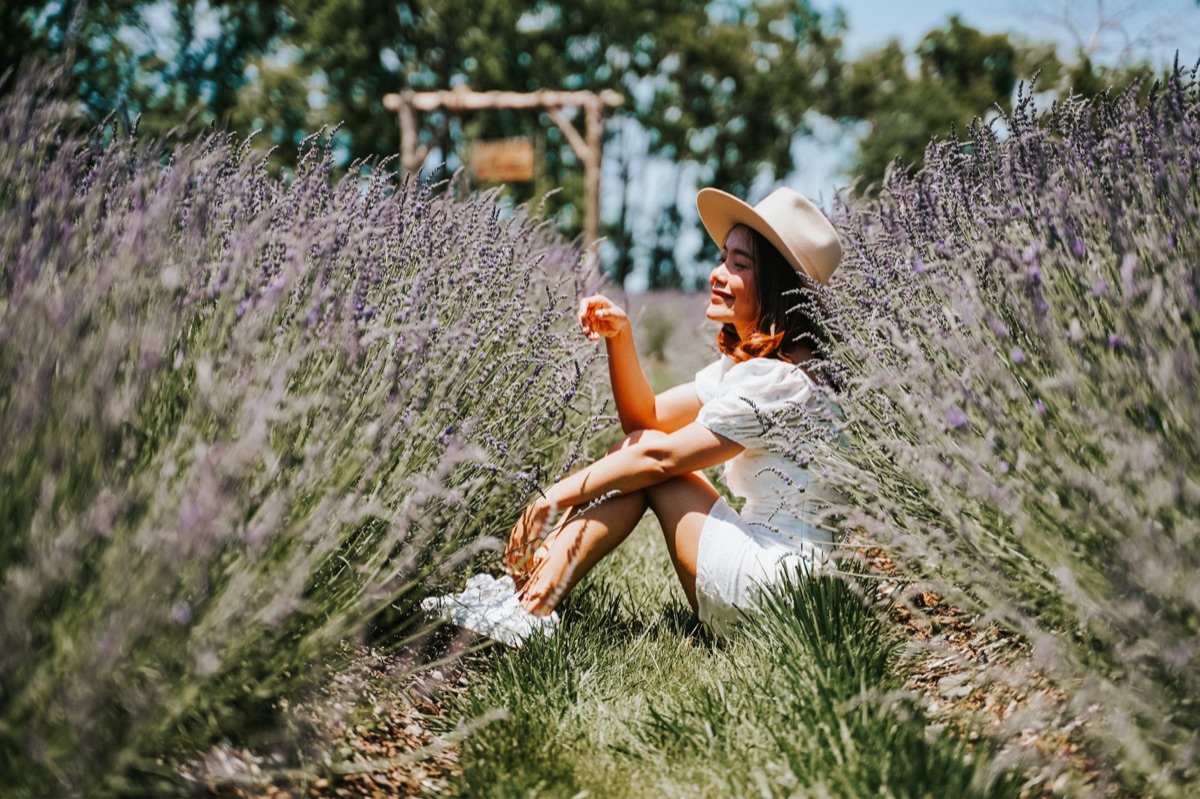 campo di lavanda con onsen
