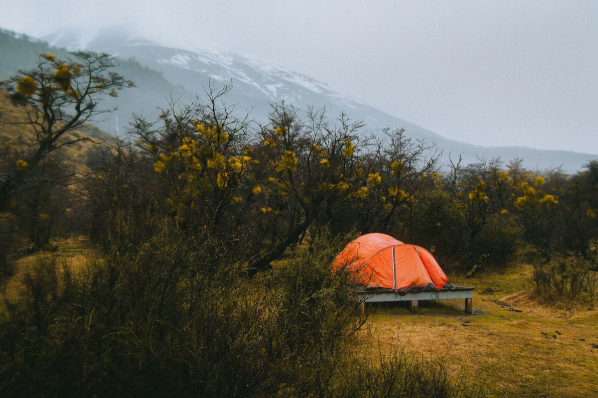 camping gear in lavender field