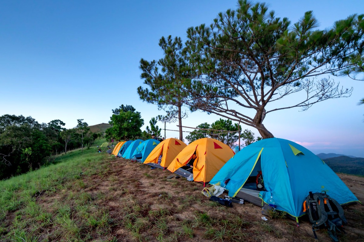 tenda de camping em campo de lavanda