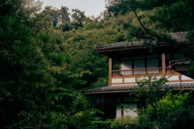 愛努文化根源：北海道原住民的千年生活智慧體現完整指南