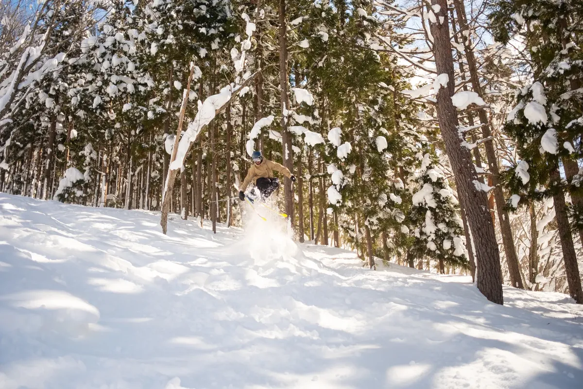 體驗在覆雪的森林中滑雪的興奮，完美適合冬季運動愛好者